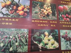 -开心农家菜