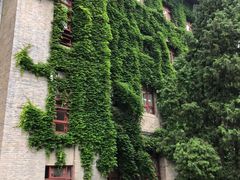 -陕西师范大学(雁塔校区)
