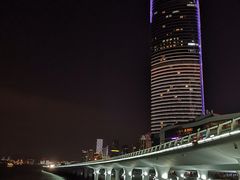 -演武大桥观景平台