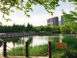 -大望京儿童游乐场