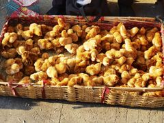 -登州市场(登州路店)