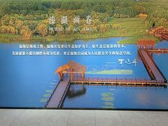 -溱湖国家湿地公园