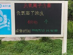 -青峰峡国家森林公园