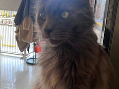 -平行世界·猫咖(首经贸店)