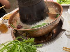 -老蜀铜火锅·酸菜脊骨·麻辣羊蝎子(热闹路店)