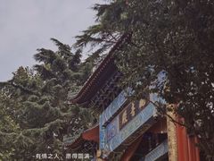 -湛山寺