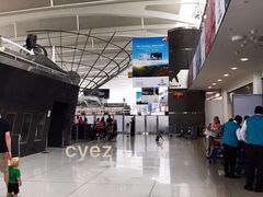 -约翰·菲茨杰拉德·肯尼迪国际机场