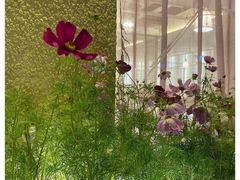 -格桑花开药膳蔬食文化空间