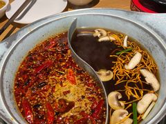 -青瓷火锅料理(西单大悦城店)