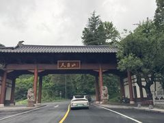 -天目山大树王景区