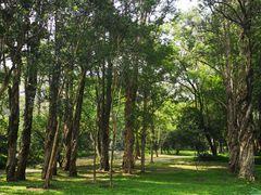 -华南国家植物园-售票处