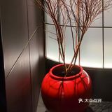 🌟🌟🌟禧京京·新京菜🌟🌟🌟 