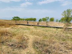 -野鸭湖国家湿地公园