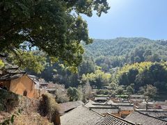 -杨家堂村