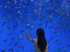 -合肥海洋世界