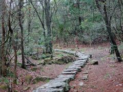 -浙西天池景区