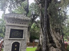 -黄帝陵