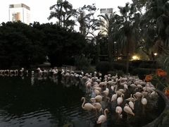 景点-九龙公园