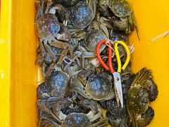 -蟹天蟹地农家菜·阳澄湖大闸蟹(浅水湾店)