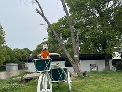 -雨花胜境