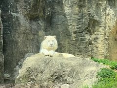 -杭州野生动物世界