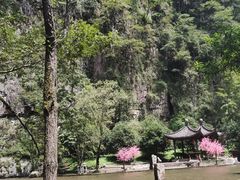 -刘伯温故里景区百丈漈