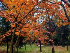 -国家植物园南园