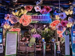 -正佳雨林生态植物园