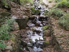 -自游人·美食一楼·地道徽菜(三十年名店)