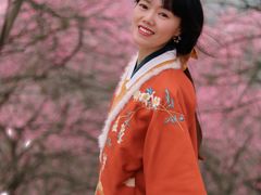 -新建村梅花