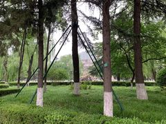 -中国人民解放军空军特色医学中心(空军总医院)