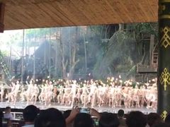 -海南槟榔谷黎苗文化旅游区