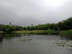 -江南大学(蠡湖校区)
