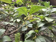 -二当家山庄(崮五路店)