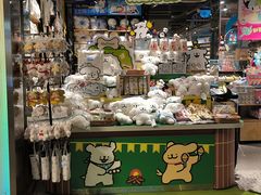 -厦门国家会计学院