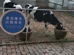 -金稼园·金平湖农家菜