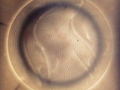 iphone_upload_pic-四川宋瓷博物馆
