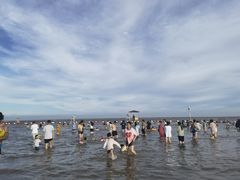 -碧海金沙