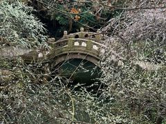 -北寺塔