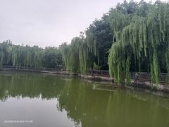-黄村公园