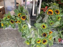 -花草间花行(法华镇路店)