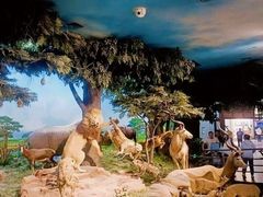 -国家自然博物馆