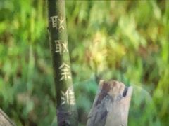 -万达影城(云龙万达广场IMAX店)