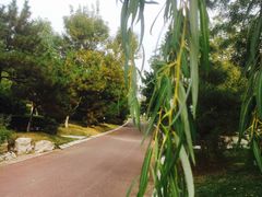 -济南国际园博园