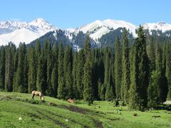 -新疆那拉提国家旅游度假区
