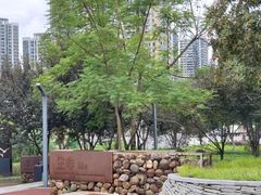 -重庆彩云湖湿地公园