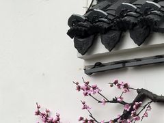 -无锡梅园公园