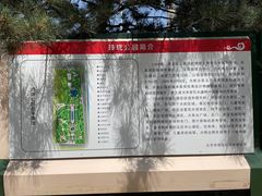 -玲珑塔公园