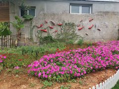 -福建鲤鱼洲酒店