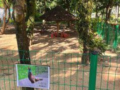 -三亚海棠湾万丽度假酒店